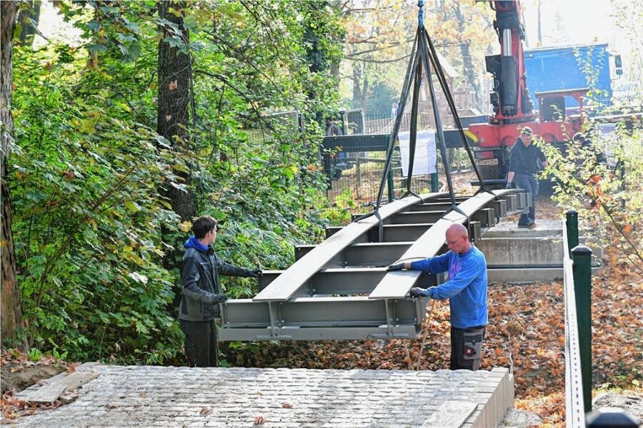Tierpark Freiberg: Stadt will "Pferdeschwemme" angehen - Im Oktober 2019 war eine Stahlbogenbrücke über den Bachzulauf zur "Pferdeschwemme" montiert worden. 