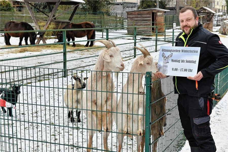 Tierpark Freiberg verlängert seine Öffnungszeiten - Der Tierpark Freiberg hat neue Öffnungszeiten: Im Bild Mitarbeiter Tilo Schudack mit neugierigen Ziegen. 