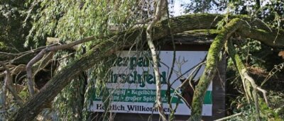 Tierpark Hirschfeld eröffnet am Samstag wieder - Sturmtief "Fabienne" hatte im Tierpark Hirschfeld schwere Schäden hinterlassen.
