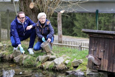 Tierpark Waschleithe: Weißbüscheläffchen und Bienen finden neue Paten - Tom Unger und Elvira Schmaedecke wollen den Fischotter locken, für den der CDU-Mann die Patenschaft übernimmt.