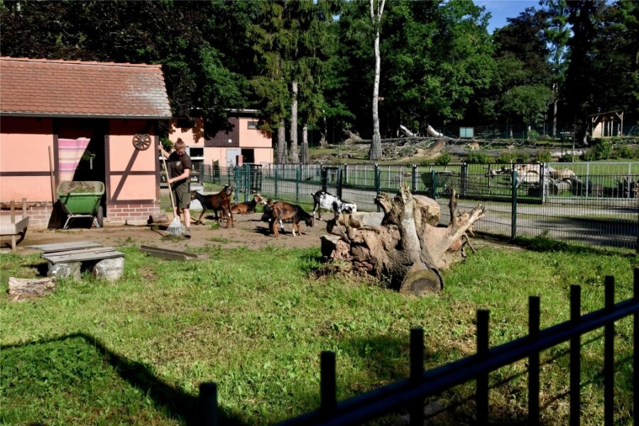 Tierparkschule in Limbach-Oberfrohna bietet buntes Ferienprogramm - Im Amerika-Tierpark können die Kinder in den Ferien vieles rund um die Themen Tiere und Natur lernen.