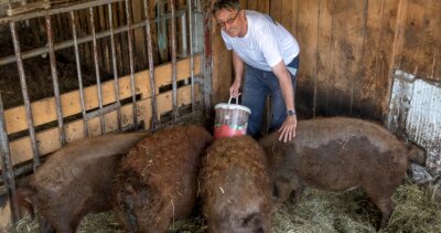 Tierschutz: Landwirte fordern Abschied von Billigfleisch - Nicht nur Landwirt Egbert Köhler aus Pfaffroda richtet klare Forderungen zugunsten der Landwirtschaft und des Tierwohls an die Politik. 