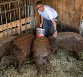 Tierschutz: Landwirte fordern Abschied von Billigfleisch - Nicht nur Landwirt Egbert Köhler aus Pfaffroda richtet klare Forderungen zugunsten der Landwirtschaft und des Tierwohls an die Politik. 
