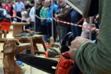 Beim Speedcarving-Wettbewerb in Gelenau dabei: Steffen Rupf aus Adorf und sein Erdmännchen.