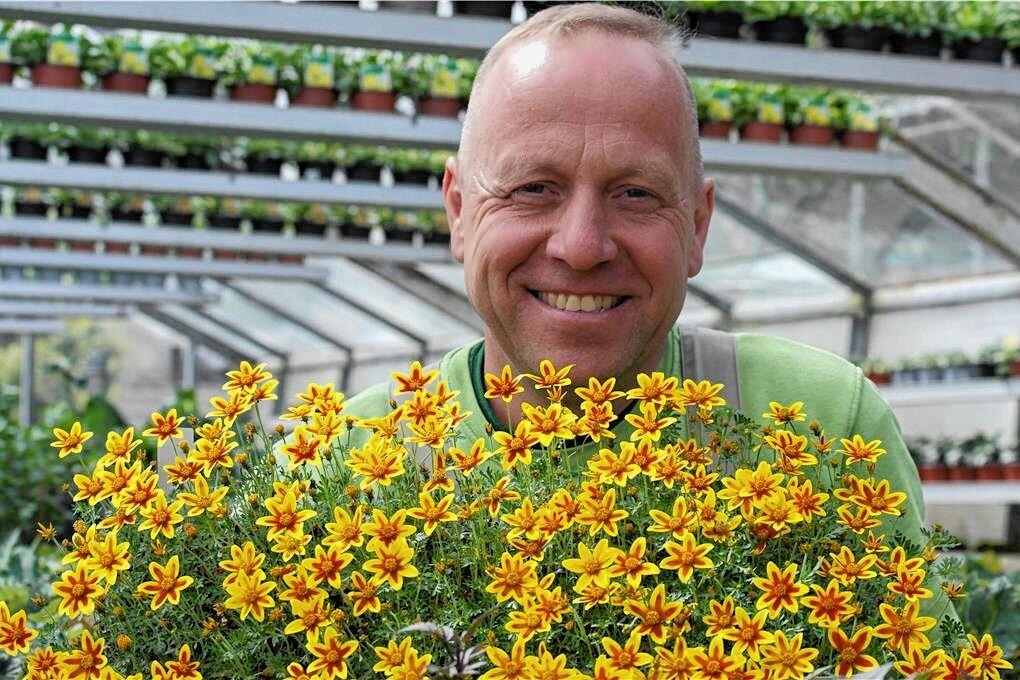Tipps für Balkon und Blumenbeet Diese Gärtnereien öffnen am Wochenende