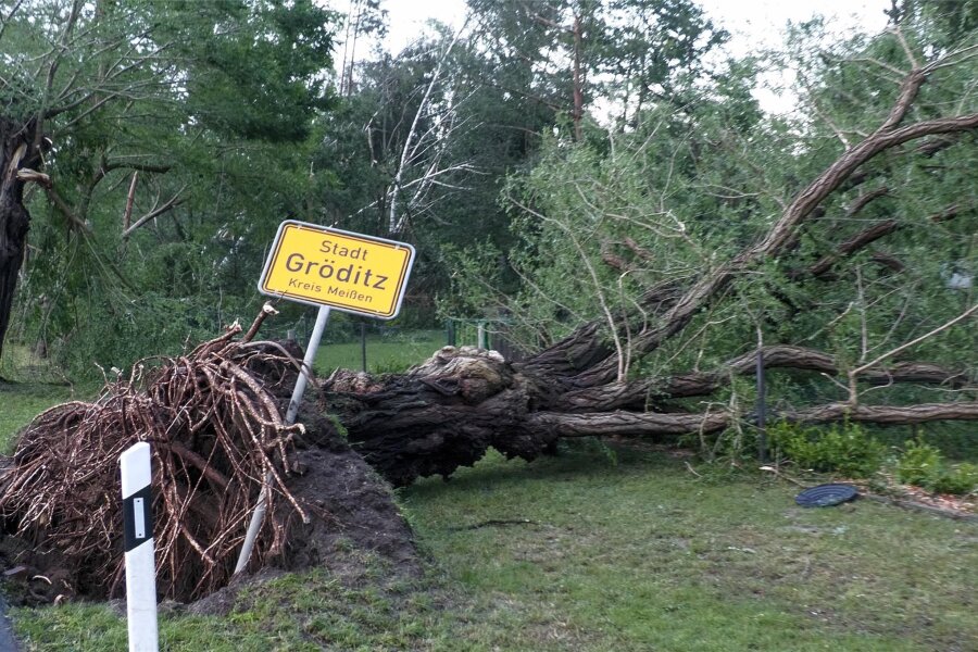 Tobte ein Tornado in Gröditz? Jetzt herrscht Klarheit - Gröditz am Dienstag: Ein umgefallener Baum liegt neben dem Ortsschild.