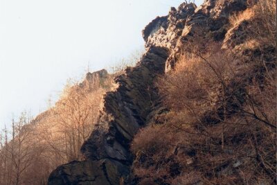Tödlicher Kletterunfall im Vogtland - Einer der größten Felsen im Steinicht ist der Dornbusch mit über 40 Meter Höhe. Unterhalb verläuft der Wanderweg durch das Elstertal. In 15 Meter Höhe war der 63-jährige Mann am Freitag abgestürzt. 