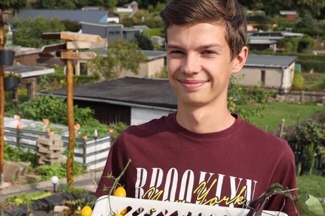 Tomaten: 18-Jähriger zieht 15 Sorten - Nick Winkler kann eine reiche Ernte vorweisen.