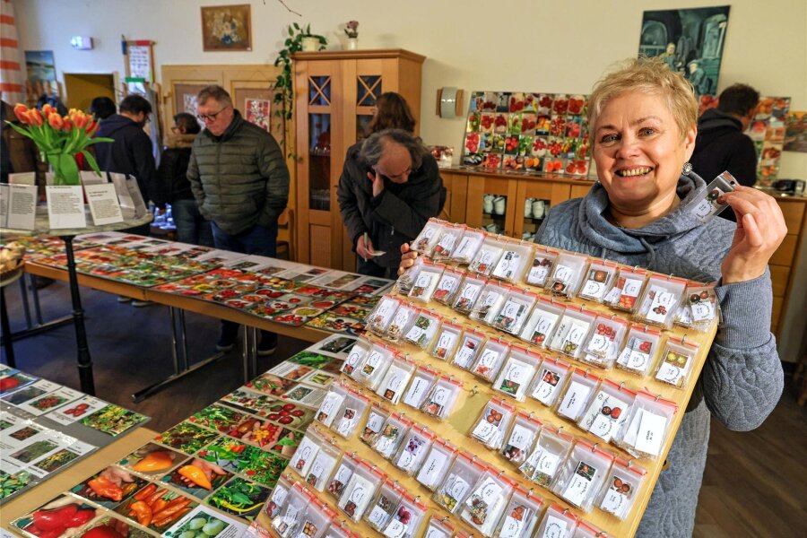 Tomaten-Queen aus Hohenstein-Ernstthal kommt langsam wieder in Form - Svetlana Hüttner in ihrem Element. Sie konnte am Sonntag viele Gäste bei einer sogenannten Tomaten-Börse im Schützenhaus in Hohenstein-Ernstthal begrüßen.