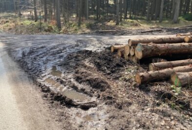 Tonnenschwerer Ärger um Holztransporte - Am Jägerhäuser Flügel zwischen Lauter und Bockau wird Holz geerntet und aus dem Wald abgefahren. Das löst Ärger aus. 