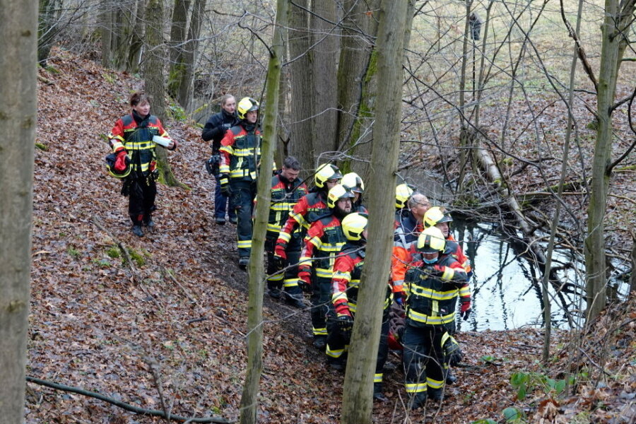 Zur Bergung rückte die Freiwillige Feuerwehr Auerswalde an.