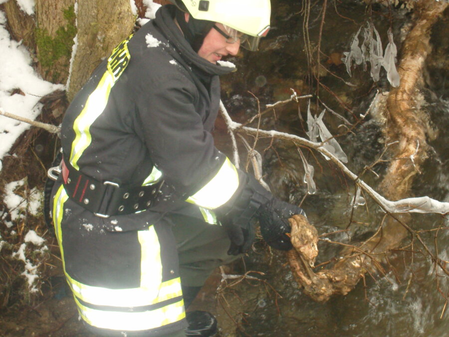 Tote Riesenschlange in Klingenthal gefunden - Feuerwehrmann Andreas Dörfel zog die Riesenschlange aus dem Bach.