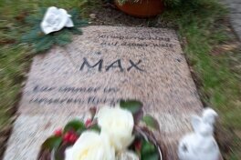 Totes Baby von Schwarzenberg: Ermittler haben noch einen Funken Hoffnung - Die Grabstelle des toten Jungen. Am 4. März vergangenen Jahres wurde Max auf dem Zentralfriedhof in Schwarzenberg bestattet.