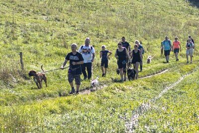 Trails4Paws: In Mühlwand startet am Sonntag der sechste Spendenlauf - Mit oder ohne Hund über Stock und Stein - und für den guten Zweck. Das ist der Reichenbacher Spendenlauf.
