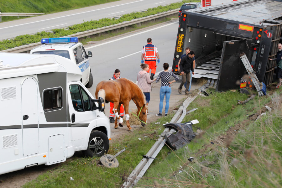 Transporter mit Apassionata-Pferden verunglückt bei Chemnitz - 