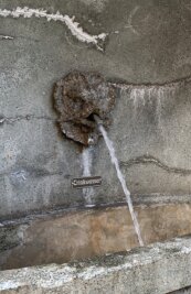Trinkbrunnen in Städten kaum zu finden - Hätten Sie es erkannt? Es ist ein Löwe, der in Reichenbach erfrischendes und trinkbares Nass aus seinem Maul speit. 2002 ließ die Stadt die Stützmauer mit Treppe am Graben sanieren - es ist Reichenbachs einziger Trinkwasserbrunnen. 