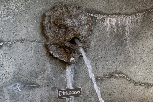 Hätten Sie es erkannt? Es ist ein Löwe, der in Reichenbach erfrischendes und trinkbares Nass aus seinem Maul speit. 2002 ließ die Stadt die Stützmauer mit Treppe am Graben sanieren - es ist Reichenbachs einziger Trinkwasserbrunnen. 