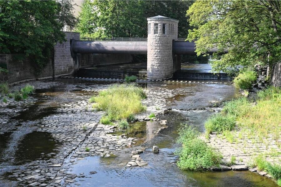 Trockenheit: Chemnitz verbietet Wasser-Entnahmen aus Gewässern - Niedrige Wasserstände wie hier an der Chemnitz unweit der Georgbrücke machen der Natur zu schaffen.