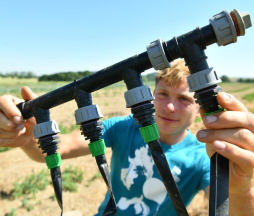 Wassersparende Alternative: Daniel Hausmann vom Biohof Hausmann in Breitenborn kontrolliert einen Verteiler für die Tropfbewässerung auf seiner Anbaufläche.