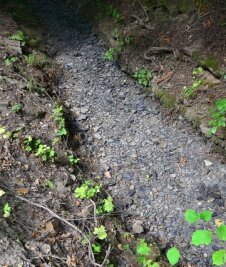 Trockenheit: Reicht das Löschwasser aus? - War bereits komplett ausgetrocknet: der Pahlbach in Cunnersdorf.