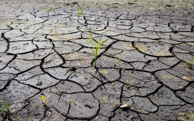 Trockenheit: Vogtlandkreis schränkt Wasserentnahme ein - 