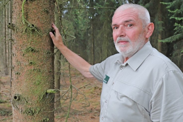Peter Dalke, Revierleiter von Sachsenforst für das Stadtwaldrevier Freiberg, sorgt sich um die Gesundheit des Waldes. Die derzeitige Trockenheit und Hitze begünstigten den Käferbefall. 