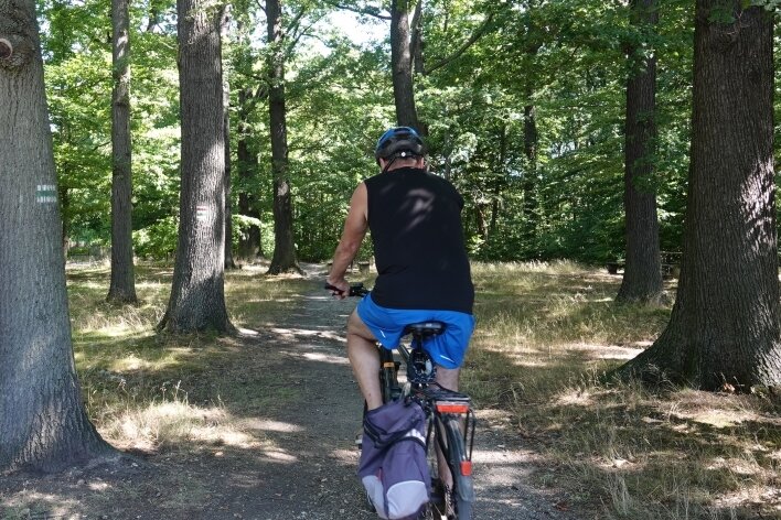 Trotz hoher Brandgefahr dürfen Besucher weiter in den Wald - Einem Ausflug ins Grüne, so wie ihn dieser Radfahrer am Mittwoch im Zwickauer Stadtwald unternommen hat, steht nichts im Wege. 