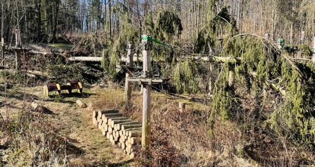 Trotz Schäden: Kletterwald startet in Saison - Fichten sind ins Kletterwald-Gelände an der Talsperre Pöhl gestürzt. Dennoch soll die Saison pünktlich Ostern beginnen. 