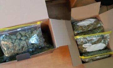 Über ein Kilogramm Marihuana entdeckt - Über ein Kilogramm Marihuana haben Polizisten in Wohnungen entdeckt. 