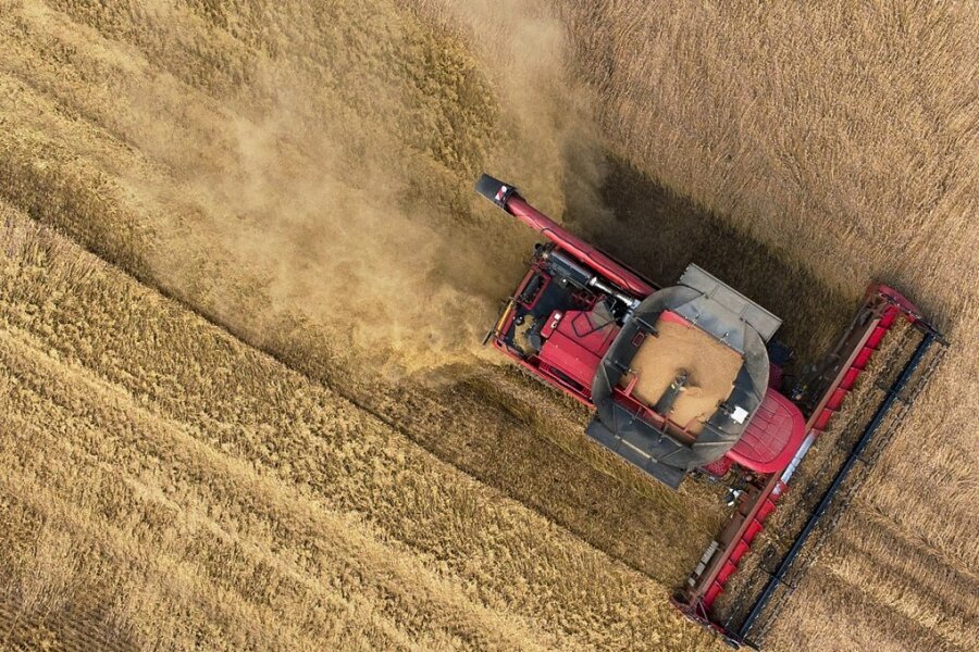 Ukrainekrieg entfacht Debatte: Weniger Ökovorgaben für mehr Getreide? - Die Getreidepreise sind an den internationalen Börsen im März noch einmal gestiegen. 