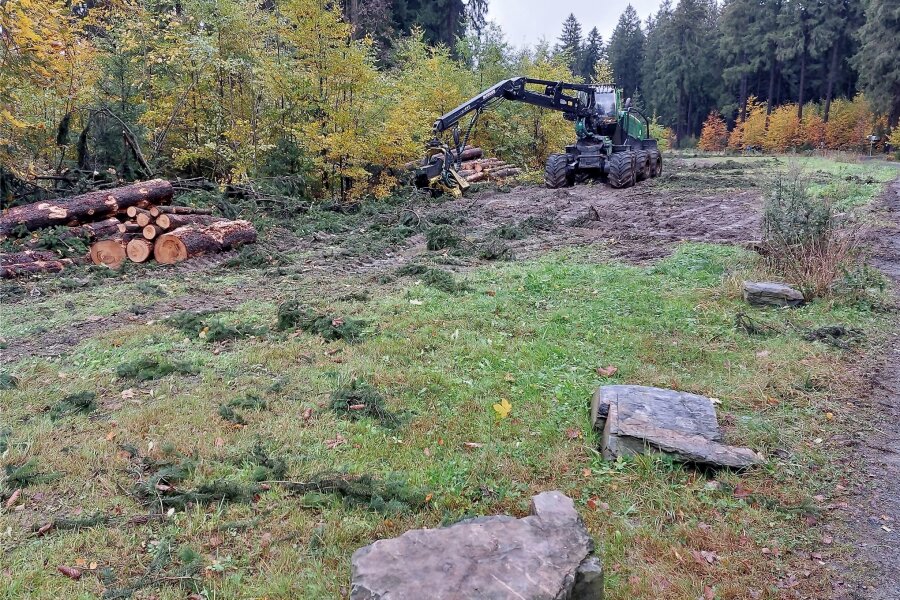 Umfangreiche Forstarbeiten im Waldgebiet am Schönecker Meiler dauern noch bis in den November - Umfangreicher Holzeinschlag wird derzeit im Schönecker Stadtwald vorgenommen.