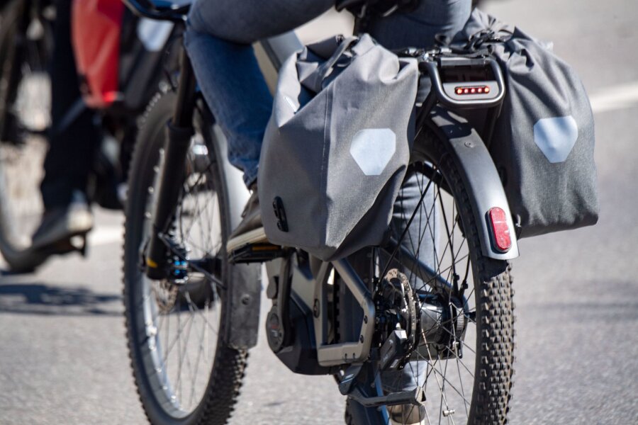 Umfrage: Etwa jeder Fünfte im Südosten besitzt ein E-Bike - Touristen fahren mit Elektrorädern.