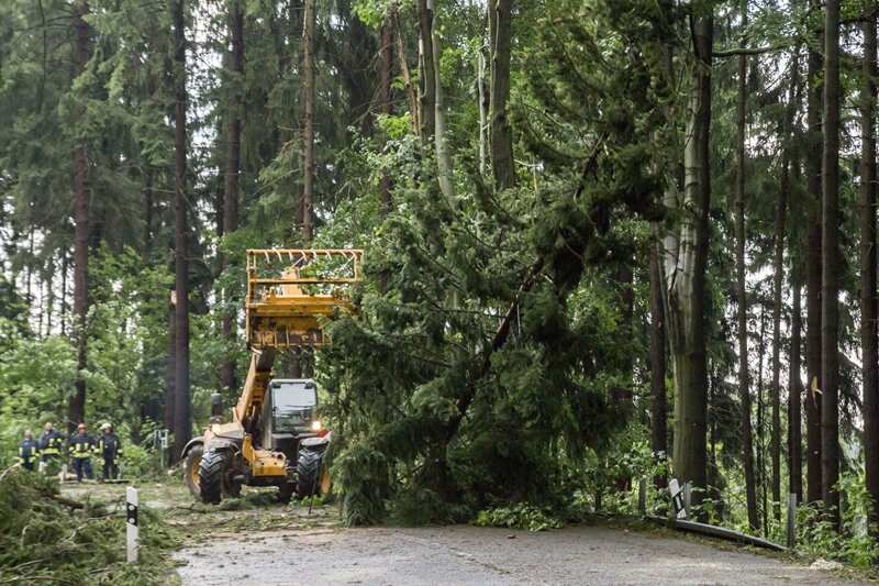 Umgeknickte Bäume, Blitzeinschlag und Überflutungen bei Unwettern im Erzgebirge - In Thermalbad Wiesenbad knickten Orkanböen zahlreiche Bäume um. Die B 101 musste in beide Richtungen für 3 Stunden voll gesperrt werden.