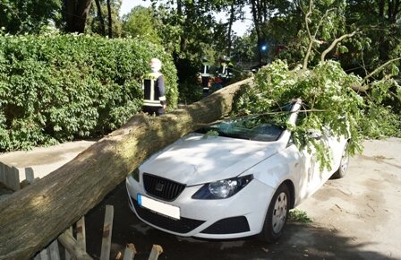 Umgestürzte Bäume behindern Verkehr in Südwestsachsen - Ein umgestürzter Baum hat am Samstag in Wiesenburg einen weißen Seat unter sich begraben.