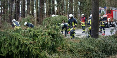 Umstürzende Bäume schließen drei Autos ein - Kameraden der Börnichener Feuerwehr räumen die Börnichener Länge frei.