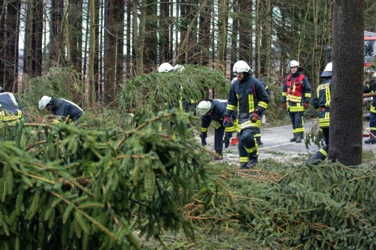 Umstürzende Bäume schließen drei Autos ein - Kameraden der Börnichener Feuerwehr räumen die Börnichener Länge frei.