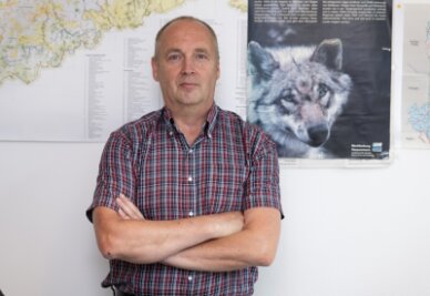 Umweltexperte: Wo der Wolf läuft, wächst der Wald - Bernd Dankert ist Referent für Artenschutz im Staatsministerium für Umwelt und Landwirtschaft.