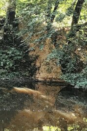 Umweltfrevel:Spaziergänger entdeckt Abfall am Zschopau-Fluss - Diese Holzabfälle sind erst in jüngster Zeit entsorgt worden.