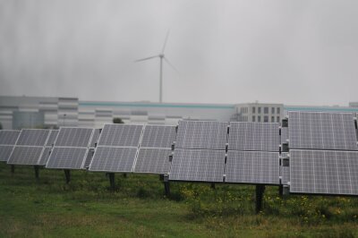 Umwelthilfe: Solarenergie in Großstädten in der Krise - Photovoltaikmodule stehen in einem Gewerbepark in Bitterfeld-Wolfen.