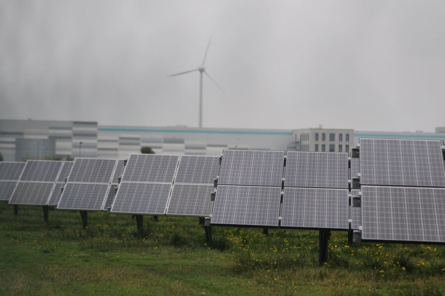 Umwelthilfe: Solarenergie in Großstädten in der Krise - Photovoltaikmodule stehen in einem Gewerbepark in Bitterfeld-Wolfen.