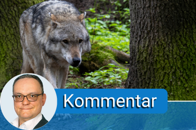 Umweltministerin Lemke und der Wolf - 