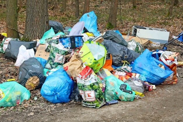 Unbekannte entsorgen Müll nahe Mannichswalde - Kein schöner Anblick: In einem Waldstück nahe Mannichswalde haben Unbekannte offenbar ihren ganzen Müll abgeladen. 