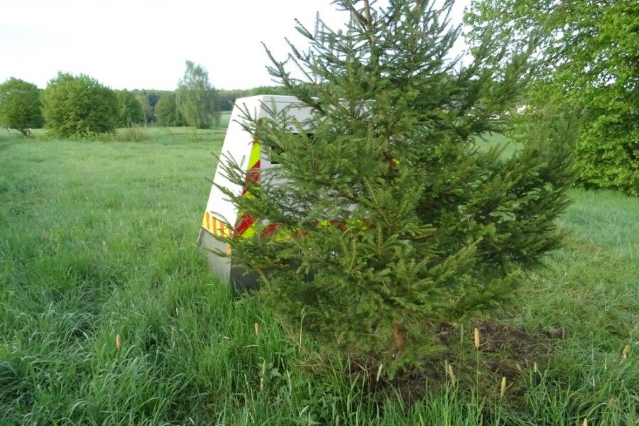 Unbekannte pflanzen Baum vor Blitzer - "Schmuckloser Baum behindert Radarmessung", meldete die Polizei Bitburg am Freitag.