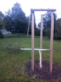 Unbekannte zerstören Symbol-Baum in Zwickau - 