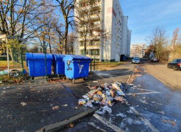 Unbekannte zünden Mülltonnen an - Die Mülltonne an der Dr. Salvador-Allende-Straße wurde durch das Feuer zerstört.
