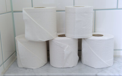 Unbekannte zünden Toilettenpapier in Treppenhaus an - In einem Plauener Mehrfamilienhaus haben Täter eine Rolle Toilettenpapier in Brand gesteckt.