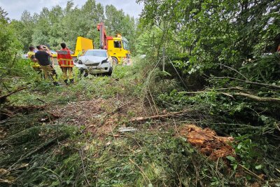 Unfall auf der Autobahn im Vogtland: Frau fährt in Wildschutzzaun - Bei dem Unfall am Sonntag war die Autobahn zeitweise gesperrt.