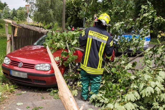 Unfall in Buchholz: Autofahrer entwurzelt Baum - 