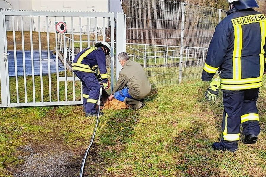 Unglücklich reingerutscht: Feuerwehr muss Reh in Penig befreien - Die Feuerwehr Penig konnte am Silvestertag ein Reh aus dem Tor der Wasserkraftanlage Thierbach befreien. 