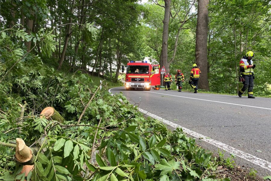 Unwetter im Chemnitztal: Baum blockiert Bundesstraße 107 - Ein Baum ist auf die Chemnitztalstraße gestürzt. Die B 107 ist am Samstagnachmittag gesperrt.